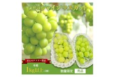 【2025年9月～10月発送分先行受付】山形のぶどう(シャインマスカット)2房・計1kg以上_H065(R7)-2