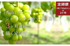 【2025年9月～11月発送分先行受付】【定期便3ヶ月】「秀品」シャインマスカット700g以上(1房)×3ヶ月_H106(R7)