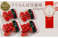 【2025年6月発送】「秀品」さくらんぼ佐藤錦約600g（L以上・150g×4パック詰）_H109(R7)