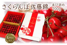 【2024年6月発送】「秀品」さくらんぼ佐藤錦700g（L以上・並び詰め）_H111(R6)