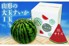 【2025年7月～8月発送】山形の大玉すいか「縞無双」約8kg×１玉_H113(R7)
