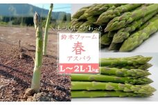 【2025年5月発送分先行受付】鈴木・ファームの春アスパラ（L～2Lサイズ・1kg）_H116(R7)