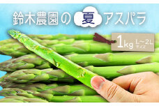 【2025年7月～9月発送分先行受付】鈴木・ファームの夏アスパラ（L～2Lサイズ・約1kg）_H117(R7)
