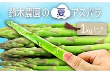 【2025年発送】鈴木・ファームの夏アスパラ（L～2Lサイズ・約1kg）_H117(R7)