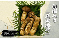 【2025年9月～11月発送分先行受付】山形県産「天然松茸（まつたけ）」約400g(桐箱入)_H086(R7)