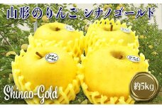 【2025年発送】山形のりんご（シナノゴールド）約5kg_H120(R7)