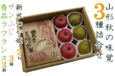 【2025年発送】山形秋の味覚3種詰合せ（新米つや姫3kg＆ラフランス・サンふじ各3個）_H125(R7)