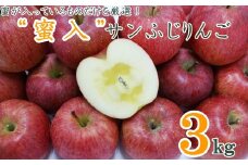 【2025年11月～12月発送】蜜入りだけ厳選！蜜入サンふじりんご3kg_H126(R7)