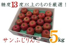 【2025年11月～12月発送】糖度13度以上厳選！サンふじりんご5kg_H127(R7)