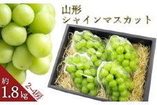 【2025年発送】シャインマスカット約1.8kg（2～4房）_H132(R7)