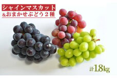【2025年9月～10月発送分先行受付】シャインマスカットとおまかせ2種詰合せ約1.8kg（3種×各1～2房）_H133(R7)