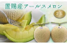 【2025年8月～9月発送分先行受付】置賜産マスクメロン（アールスメロン）約1.75kg～2.0kg×2玉_H136(R7)
