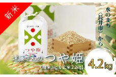 【令和6年産新米】【オーガニック米】遠藤さんの「つや姫」4.2kg(精米2kg×1袋&玄米2.2kg×1袋)_A137(R6)