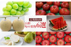 【2025年7月～12月発送分先行受付】【定期便6回】山形旬の果物6選（すいか/メロン/シャインマスカット/りんご2種/ラ・フランス）_H146(R7)