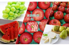 【2025年7月～12月発送分先行受付】【定期便5回】山形旬の果物5選（すいか/シャインマスカット/りんご2種/ラ・フランス）_H147(R7)