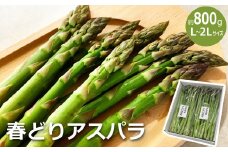 【2024年5月～6月発送】春どりアスパラ(L～2Lサイズ・約800g）_H153(R6)