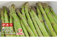 【2025年4月～5月発送】ご家庭用訳あり春どりアスパラ(S～2Lサイズ・2kg）_H155(R7)