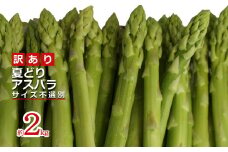 【2025年7月～8月発送分先行受付】ご家庭用訳あり夏どりアスパラ(S～2Lサイズ・2kg）_H156(R7)