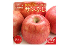 【2025年1月発送】訳ありだけど糖度13度以上！ご家庭用サンふじりんご5kg_H154(R6)