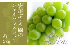 【2025年9月～10月発送分先行受付】安部ぶどう園のシャインマスカット約2kg（3～5房）_H160(R7)