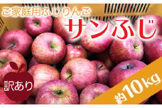 【2025年11月～12月発送】ご家庭用訳ありリンゴ（サンふじ）約10kg_H085(R7)