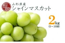 【2025年9月～10月発送分先行受付】山形のぶどう(ご家庭用訳ありシャインマスカット)約2kg（3～10房）_H196(R7)