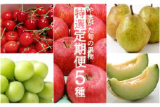 【2025年6月～12月発送分先行受付】【定期便5回】山形の果物特選5種(さくらんぼ/メロン/シャインマスカット/ラ・フランス/サンふじりんご)_H199(R7)