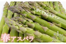 【2025年4月～5月発送分先行受付】春どりアスパラ(2L～3Lサイズ・約1kg）_H172(R7)