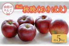 【2025年発送】「秀品」山形のりんご（秋映）約5kg_H162(R7)