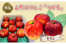 【2025年9月～10月発送分先行受付】「秀品」山形のりんご（つがる）約3kg_H163(R7)