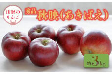 【2025年9月～10月発送分先行受付】「秀品」山形のりんご（秋映）約3kg_H164(R7)