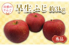 【2025年9月～10月発送分先行受付】「秀品」山形のりんご（早生ふじ）約3kg_H165(R7)