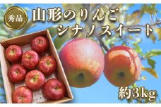 【2025年10月～11月発送分先行受付】「秀品」山形のりんご（シナノスイート）約3kg_H166(R7)