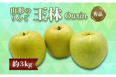 【2025年11月発送分先行受付】「秀品」山形のりんご（王林）約3kg_H168(R7)