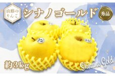 【2025年11月発送分先行受付】「秀品」山形のりんご（シナノゴールド）約3kg_H169(R7)