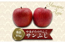 【2025年11月～12月発送分先行受付】「秀品」山形のりんご（サンふじ）約10kg_H170(R7)