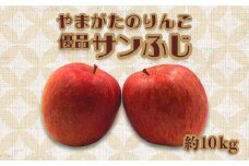 【2025年11月～12月発送分先行受付】「優品」山形のりんご（サンふじ）約10kg_H171(R7)