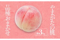 【2025年8月～9月発送分先行受付】「秀品」山形県産 桃（品種おまかせ）約3kg_H174(R7)