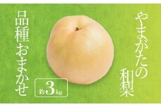 【2025年8月～9月発送分先行受付】「秀品」山形県産 和梨（品種おまかせ）約3kg_H175(R7)
