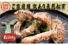 【2025年発送】山形県産ご家庭用訳あり天然松茸（まつたけ）約300g_H198(R7)