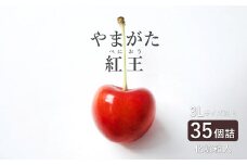 【2025年6月～発送分先行受付】さくらんぼ「やまがた紅王」35粒(3L～4L・290g以上化粧箱)_H200(R7)