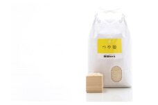 【定期便3回（隔月）】【令和6年産新米】早川ライスの山形県産「つや姫」精米5kg×1袋×3ヶ月_A164(R6)