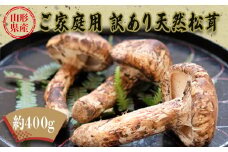 【2025年9月～11月発送分先行受付】山形県産ご家庭用訳あり天然松茸（まつたけ）約400g_H204(R7)