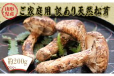 【2025年9月～11月発送分先行受付】山形県産ご家庭用訳あり天然松茸（まつたけ）約200g_H205(R7)