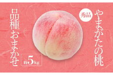 【2025年8月～9月発送分先行受付】「秀品」山形県産 桃（品種おまかせ）約5kg_H206(R7)