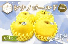 【2025年11月発送分先行受付】「秀品」山形のりんご（シナノゴールド）約2kg_H216(R7)
