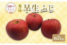 【2025年9月～10月発送分先行受付】「秀品」山形のりんご（早生ふじ）約2kg_H212(R7)