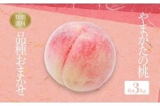【2025年8月～9月発送分先行受付】糖度14度以上保証！「秀品」山形県産 桃（品種おまかせ）約3kg_H207(R7)