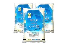 【令和6年産米】JAおきたま「無洗米つや姫」15kg_A168(R6)