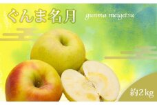 【2025年11月発送分先行受付】山形のりんご（ぐんま名月）約2kg_H217(R7)